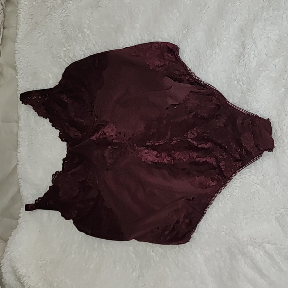 Torrid teddy